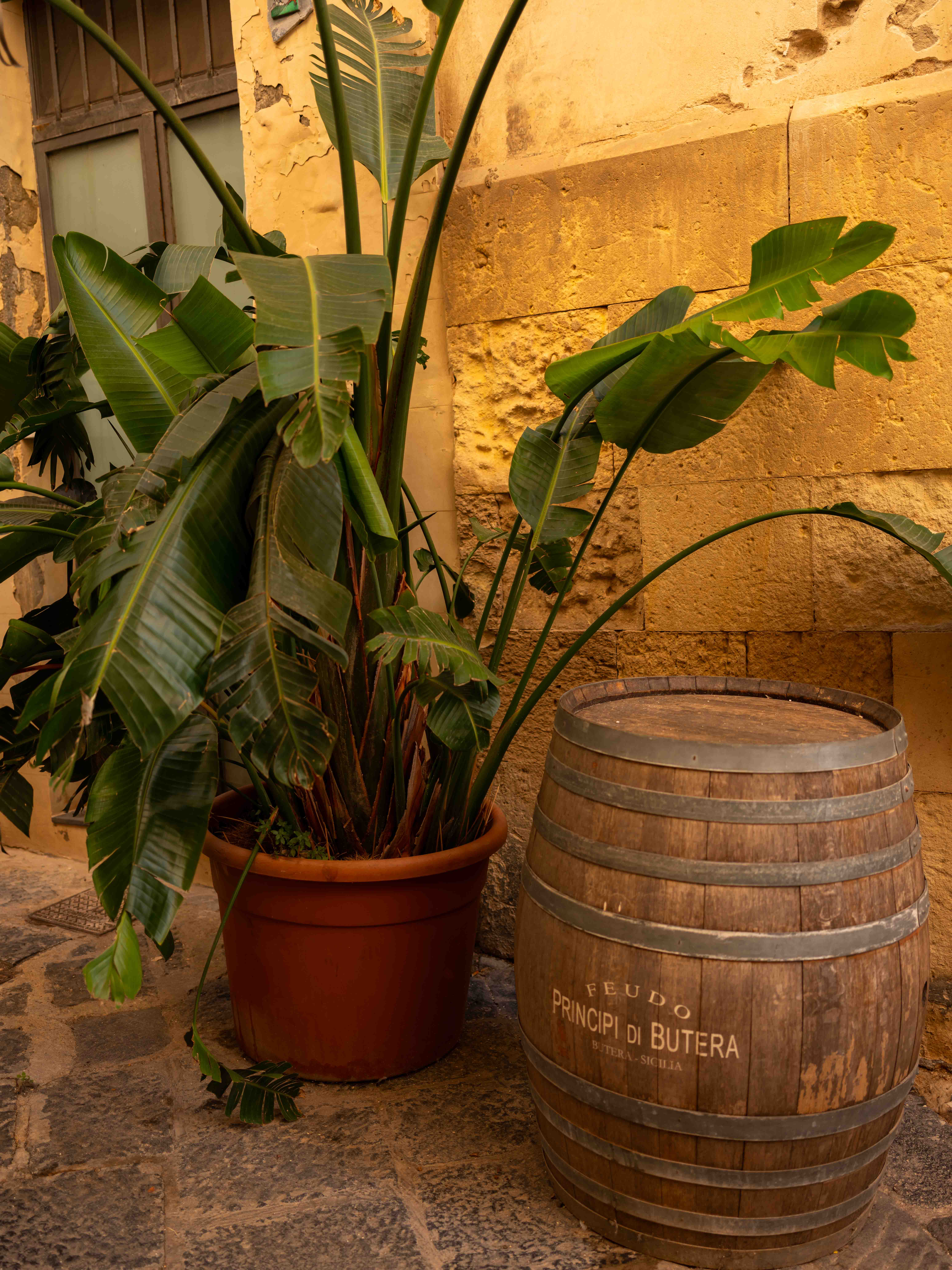 Photos from travel in Sicily, Fall 2024. Taormina, Noto, Palermo.